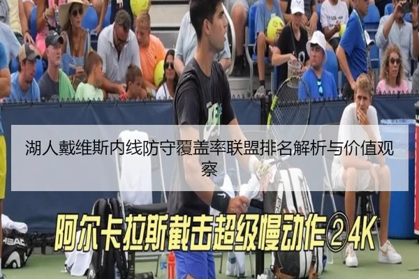 湖人戴维斯内线防守覆盖率联盟排名解析与价值观察